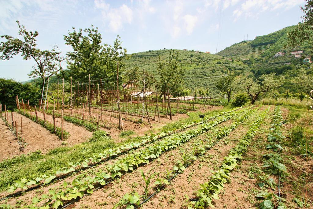 Agriturismo La Chiana Villa Вико Екуензе Екстериор снимка